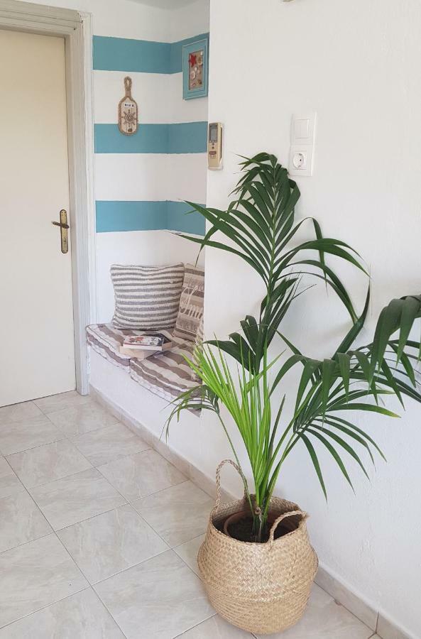 Mesogitonia House Apartment Zekros Exterior photo